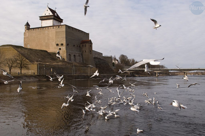 New Attractions at Narva Museum: Summer 2024 Highlights and Visitor Experiences