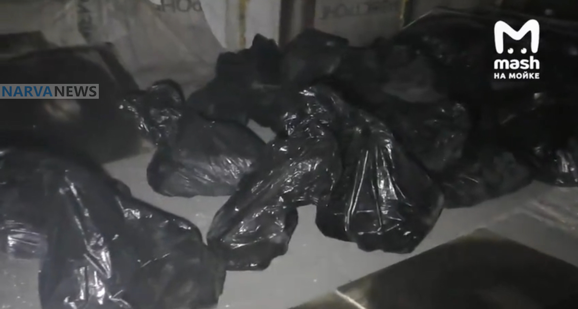 Видео: В Ленобласти задержан эстонец и двое россиян при попытке сбыта крупной партии кокаина