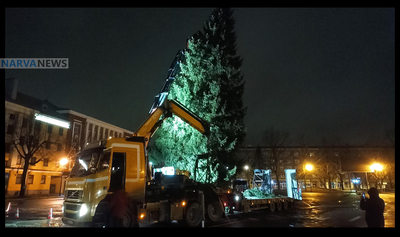 Нарва, рождественская ёлка, Адвент, рождественская ярмарка, Петровская