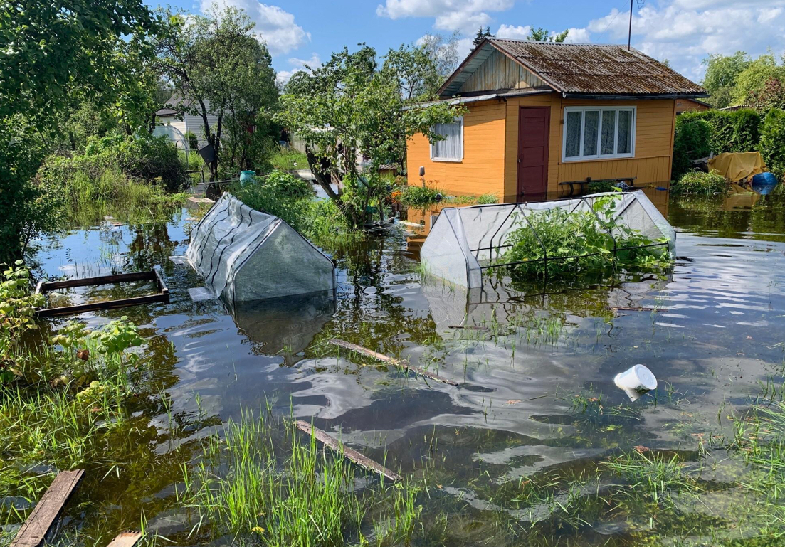 Топ Дня - «По колено в воде и без поддержки» после ночного ливня 300 участков в садоводстве под Нарвой ушли под воду