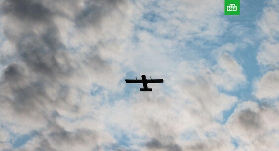 Ленобласть отразила третью атаку БПЛА за неделю: дроны подбираются к границе с Эстонией, в Нарве снова перебои с интернетом