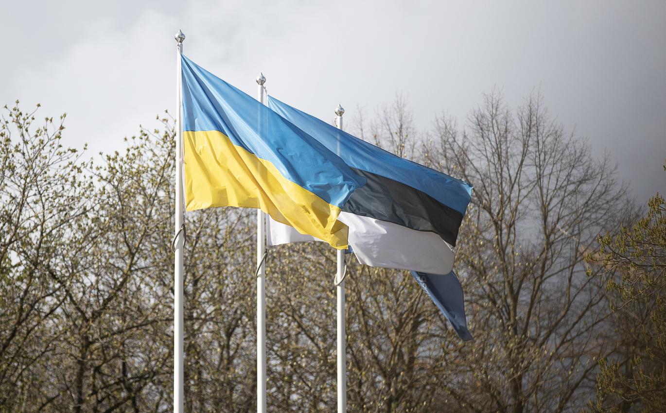 Украина и Эстония согласовали совместные шаги для прекращения войны
