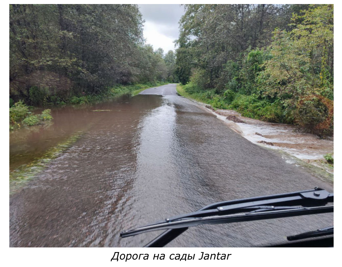После проливного дождя в Нарве появилось необычное видео: гонки на водных мотоциклах по садовым дорожкам
