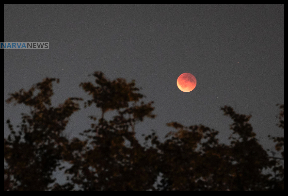 Кровавая Луна напугала и восхитила эстонцев.