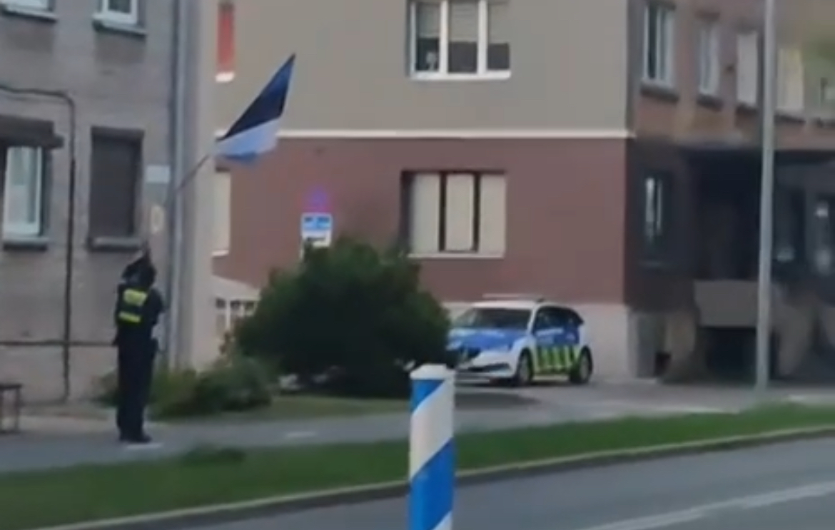 Пневматический выстрел спровоцировал спецоперацию в Нарве: кот стал свидетелем задержания