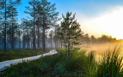 В Эстонии зафиксирована вторая тропическая ночь: температурные рекорды июня в Выру, Кунда и Нарве