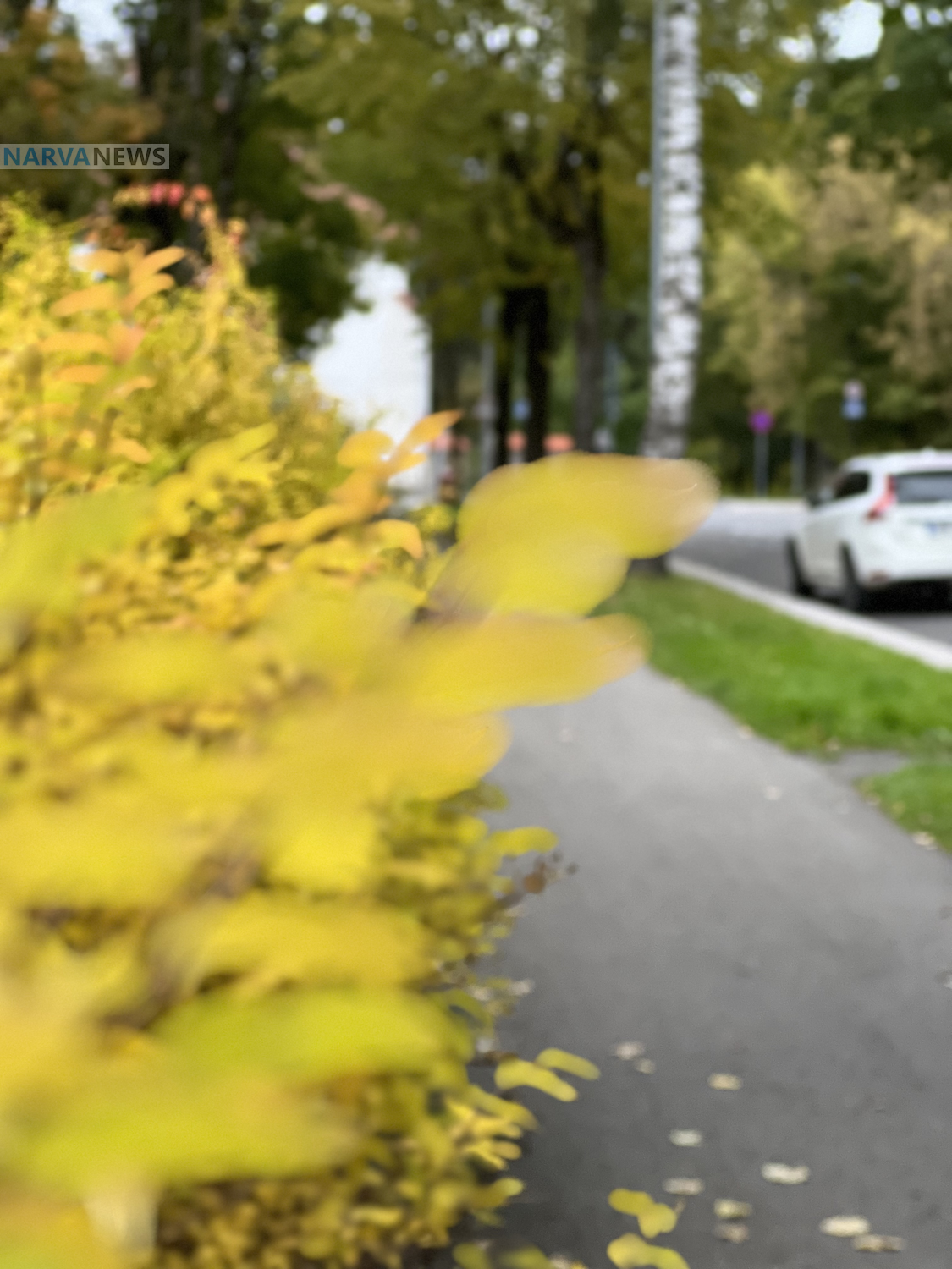 Готовься к холодам: первые снегопады уже на горизонте