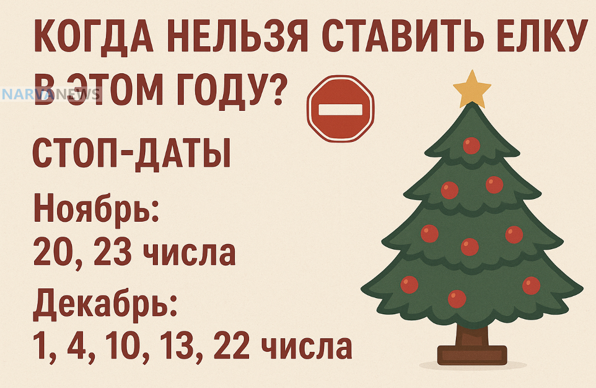 Не ставьте ёлку в эти 7 дней, чтобы не навлечь несчастье!