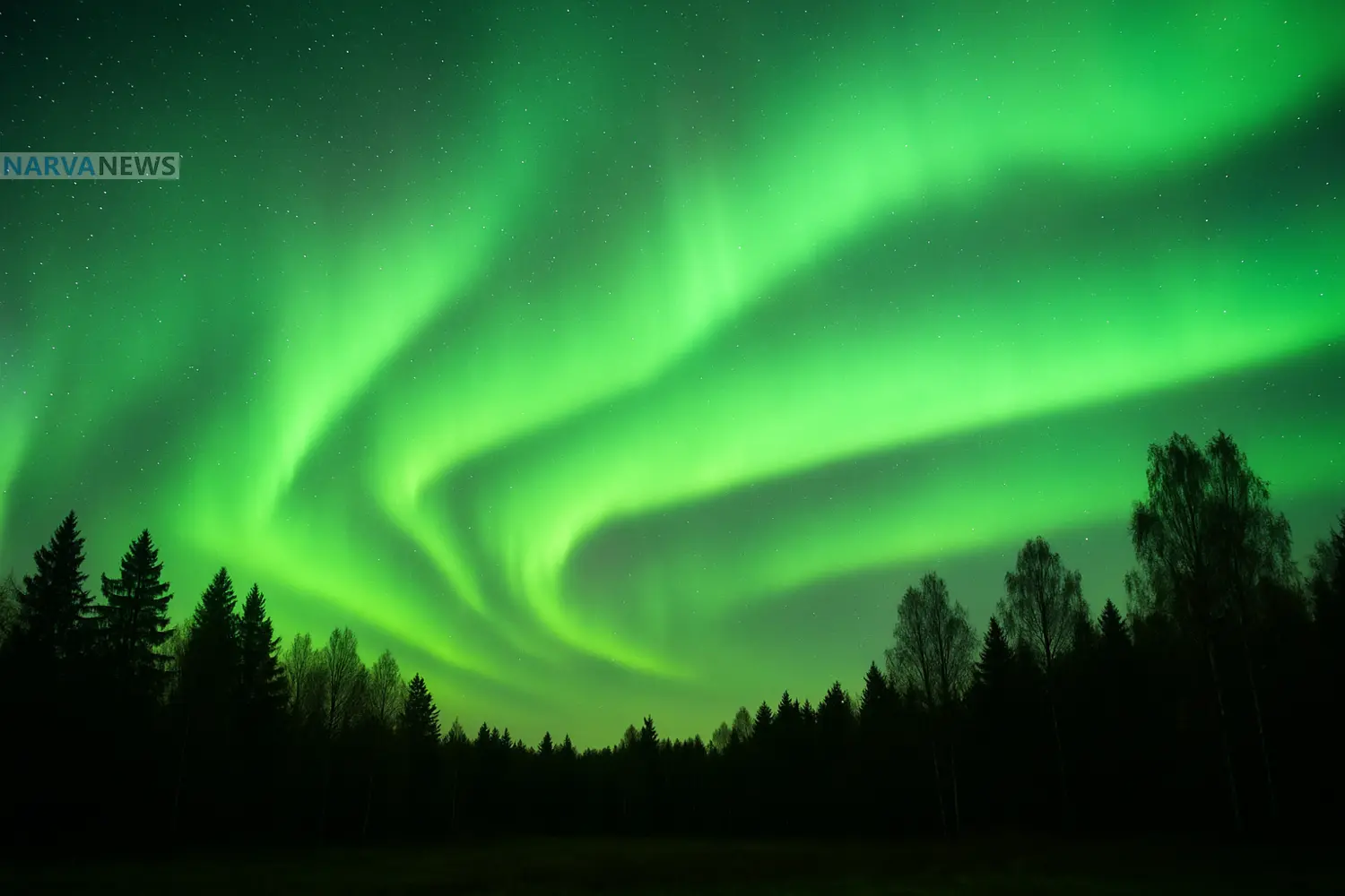 Землю осветили самые интенсивные полярные сияния за 10 лет