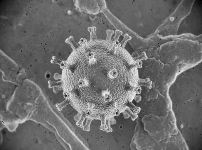 Врач перечислила симптомы начала гонконгского гриппа