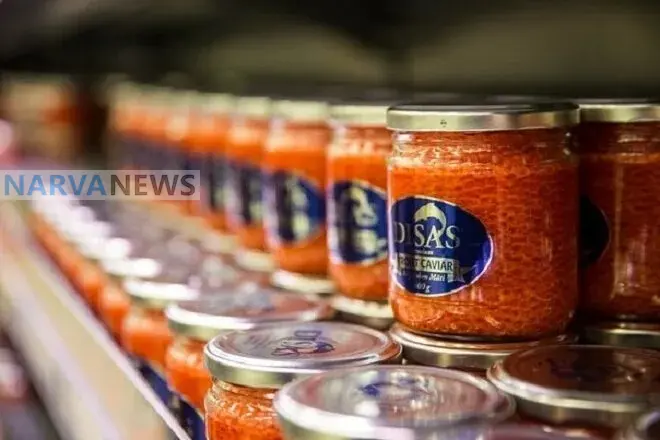 В Карелии сожгли эстонский сыр и финскую икру: в России продолжают охоту на товары из ЕС