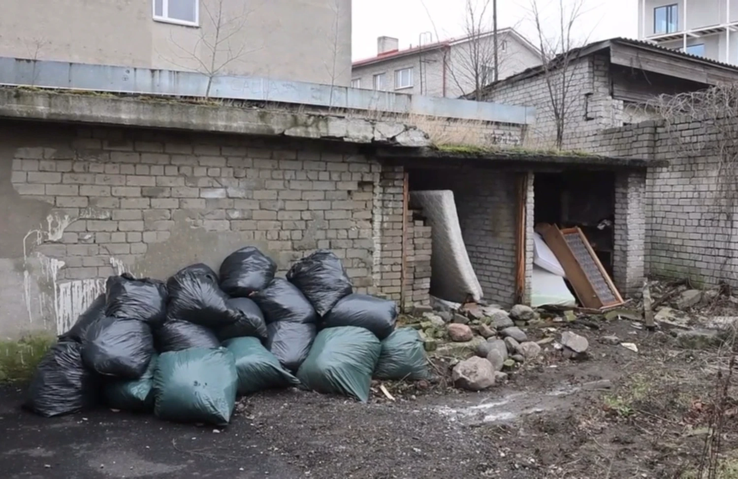 В Таллине жители бьют тревогу из-за нашествия крыс