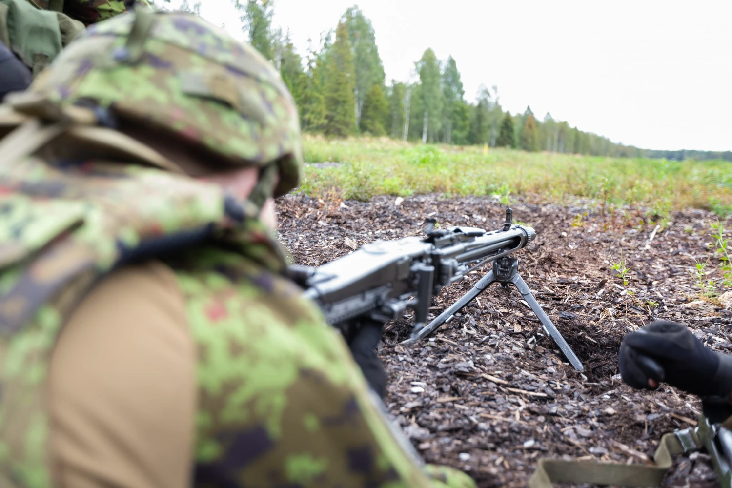 Решение принято: с 2027 года в Эстонии призывников без знания эстонского языка не допустят к службе: riigikogu.ee - Nursipalu.