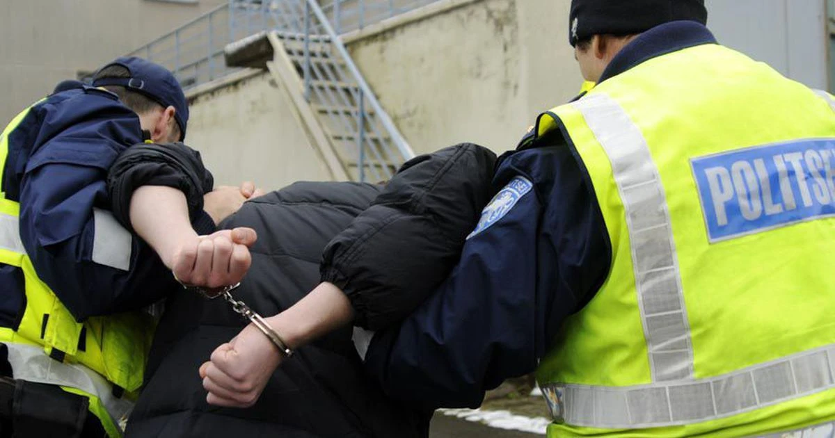 В Нарве задержан мужчина после нападения на двух женщин; все участники были пьяны: 