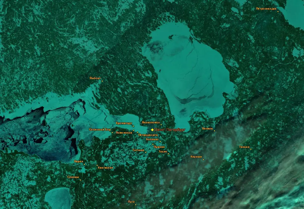 Спутники зафиксировали аномальное оледенение Балтийского моря: Фото: скрин сайта sci-vega.ru