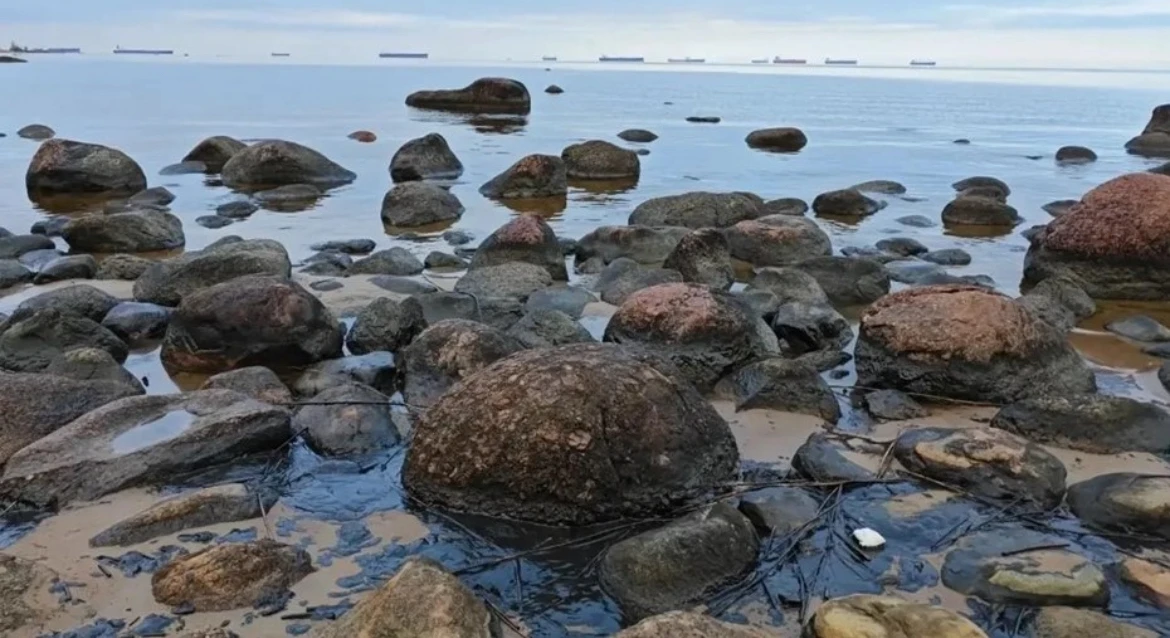 Разлив нефтепродуктов зафиксирован на побережье Финского залива в Ленобласти: Фото разлива нефти. 59,830741N 28,497360E