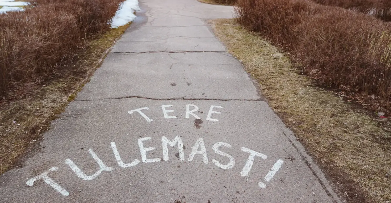 Экзамен провален? Только 15% студентов Ида-Вирумаа подтвердили знание эстонского после интенсива: 