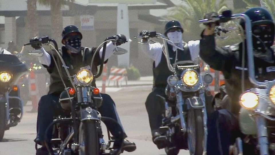 В Швеции судят байкера, продававшего жену за ремонт генератора и гороскопы.