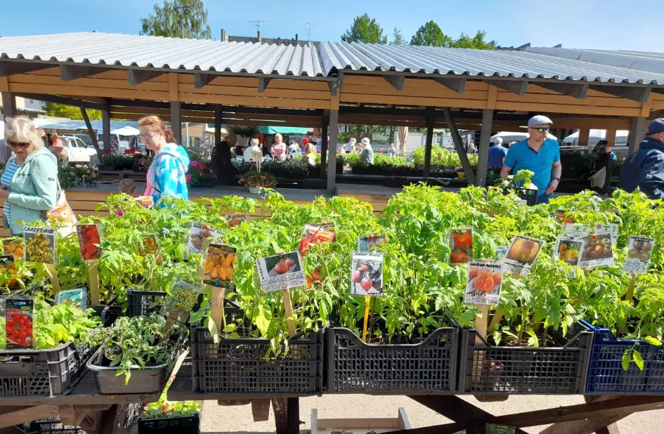 «Энергия» меняет облик: что уже можно купить на новом Narva Bazar и когда ждать открытия: