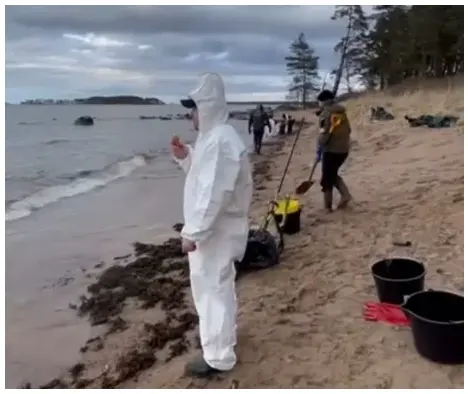 Берега Эстонии в черных пятнах: мазут из Усть-Луга накрыл пляжи Лахемаа