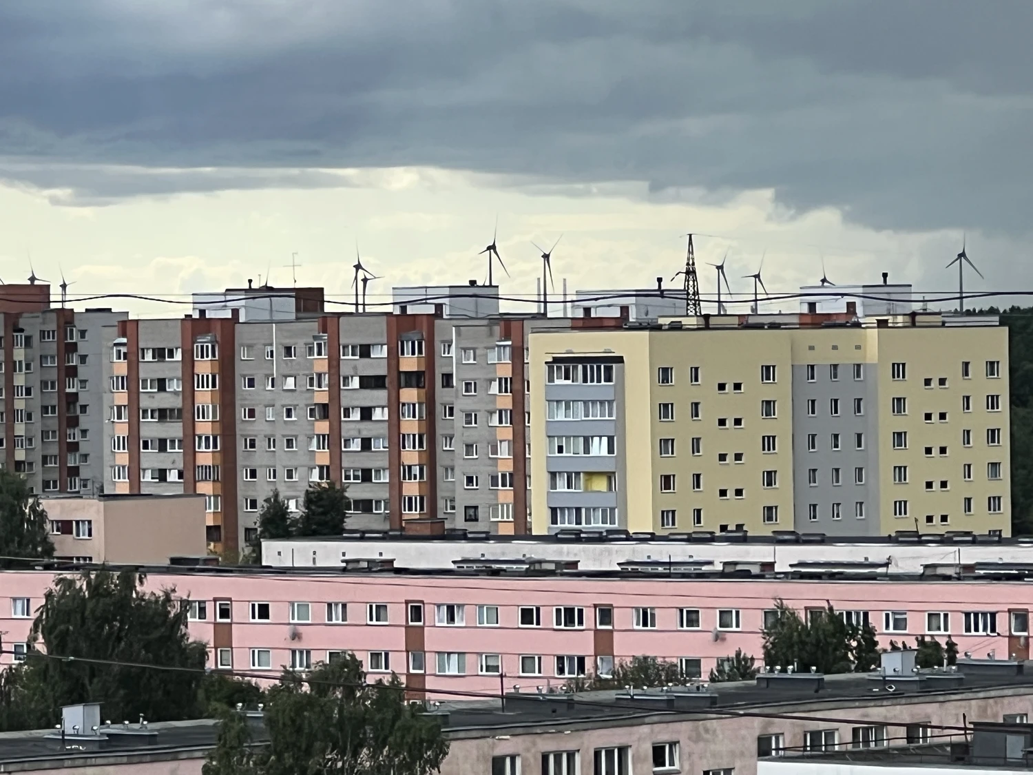 Кальюлаид призвал жителей Нарвы не ждать помощи государства в случае войны