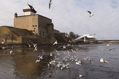 Narva Muuseum läheb üle seitsmepäevasele töönädalale.