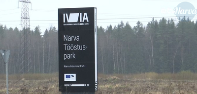 Запуск первого промышленного инкубатора в Эстонии начинается в Нарве: Что такое IVIA?