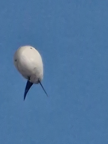 Необычный объект в небе над Нарвой: загадочный белый шар вызвал ажиотаж среди горожан