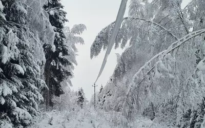 Экстремальная зима в Эстонии: снегопад, перебои с электроэнергией, шаги городских служб и прогноз на зимний сезон