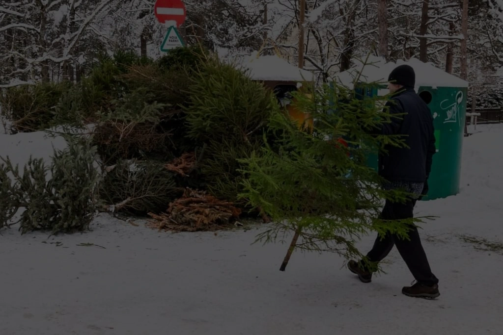 Сбор старых новогодних елок в Нарве: Присоединяйтесь к экологической инициативе с 24 по 28 января 2024 года!